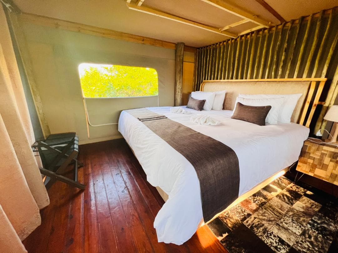 The interior of a tented chalet with polished wooden floors, a cowhide rug and a window onto the bush